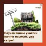 Неухоженные участки начнут изымать уже скоро!